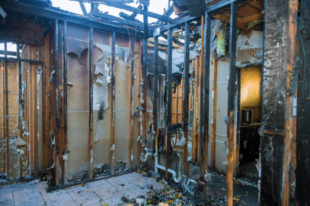 Professional Soot Cleanup technician working in Ogden, IA